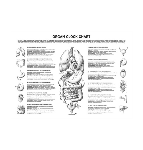 White Printed A3 Paper Front