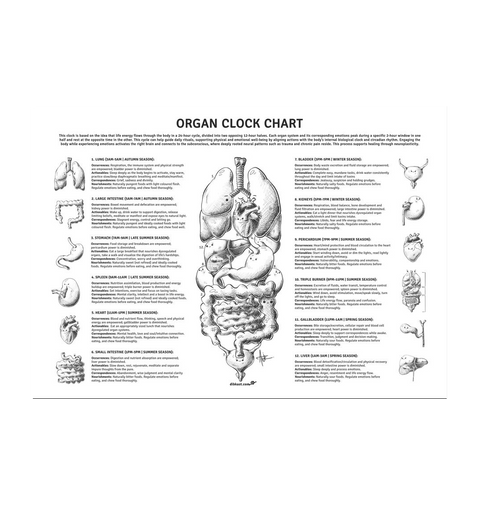 White Printed A3 Paper