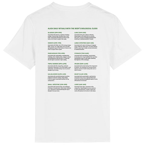 Test - back_0