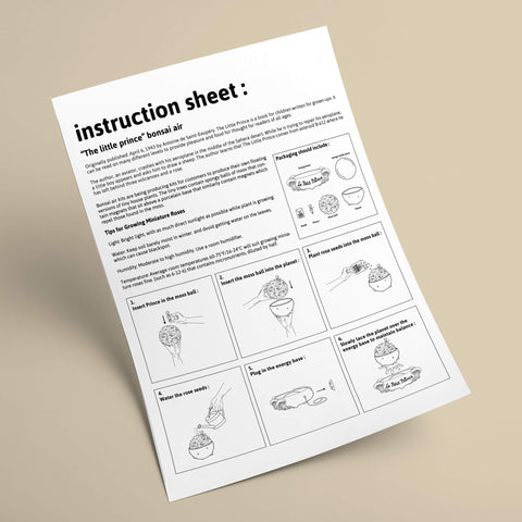 Petit Prince product design instructions
