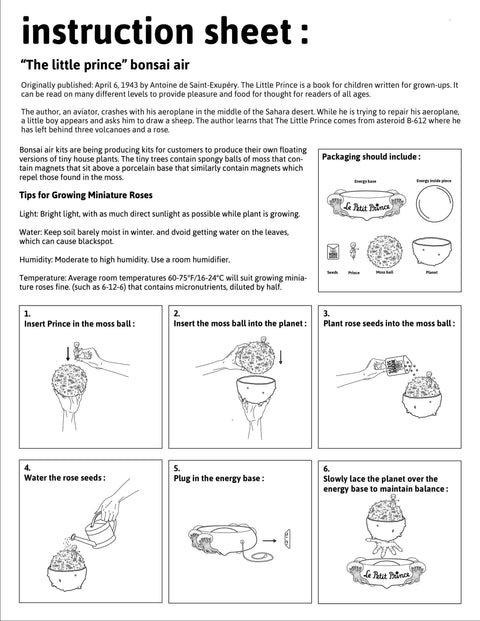 Petit Prince product design instructions
