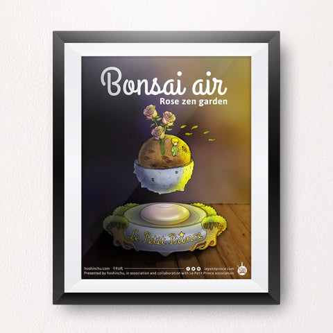 Petit Prince product design poster